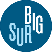 Logo Big Sur